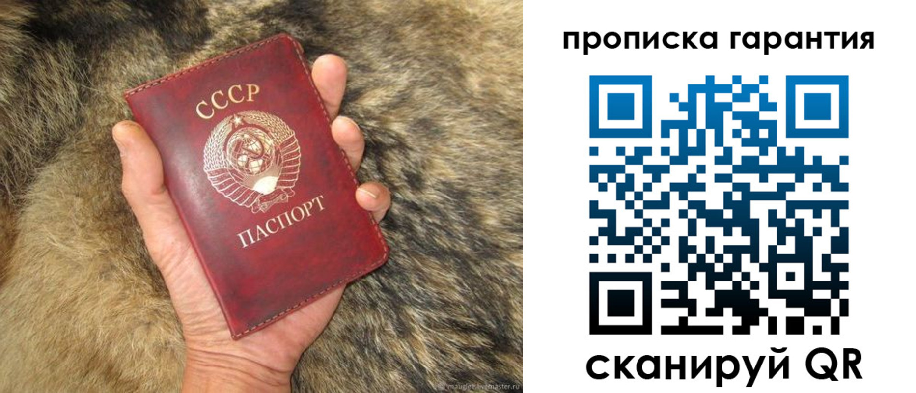 прописка паспорт в Лысково